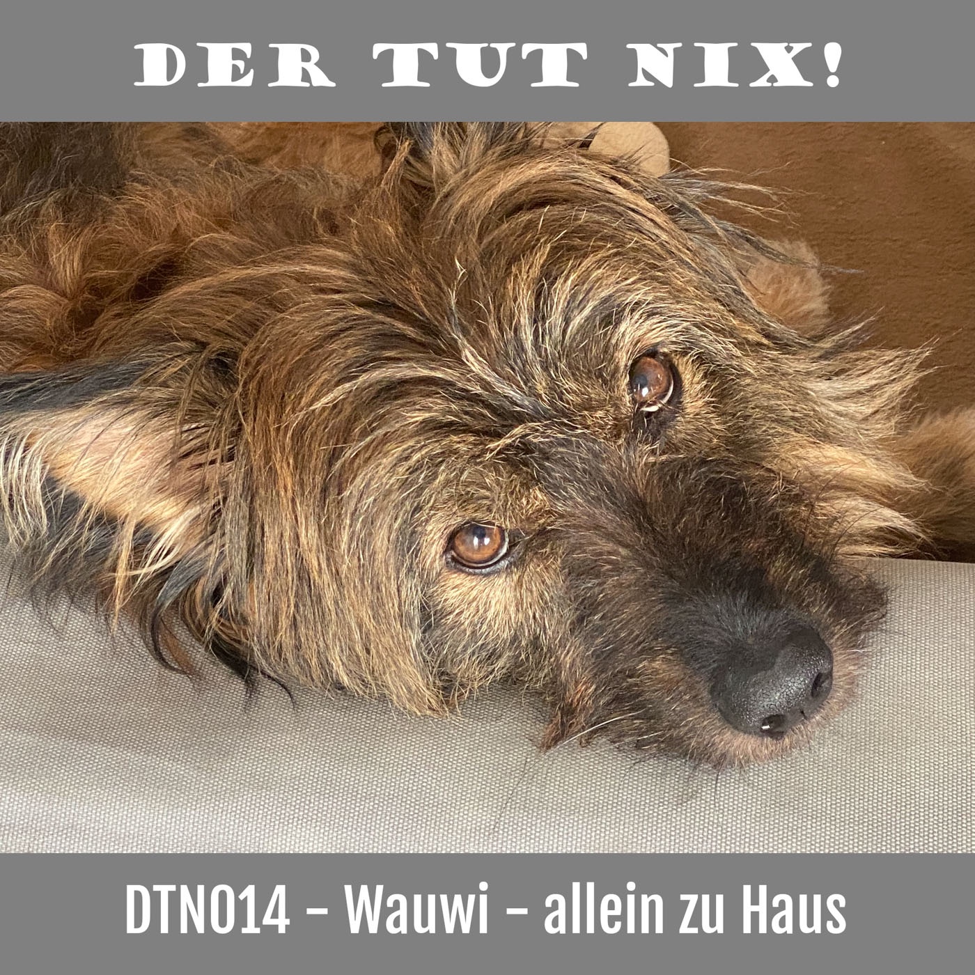 DTN014 - Wauwi - Allein zu Haus