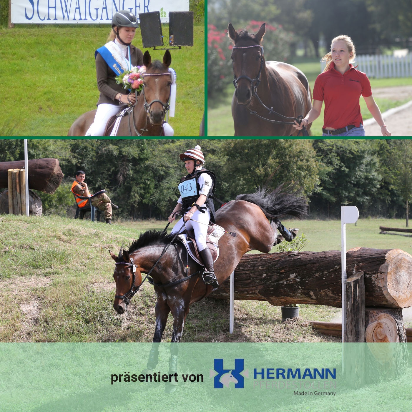 STAFFEL 4 FOLGE #21 – „Was soll dieses Pferd noch beweisen?“ Pferdegeschichte DSP Quintana P I Hermann Pferdestollen
