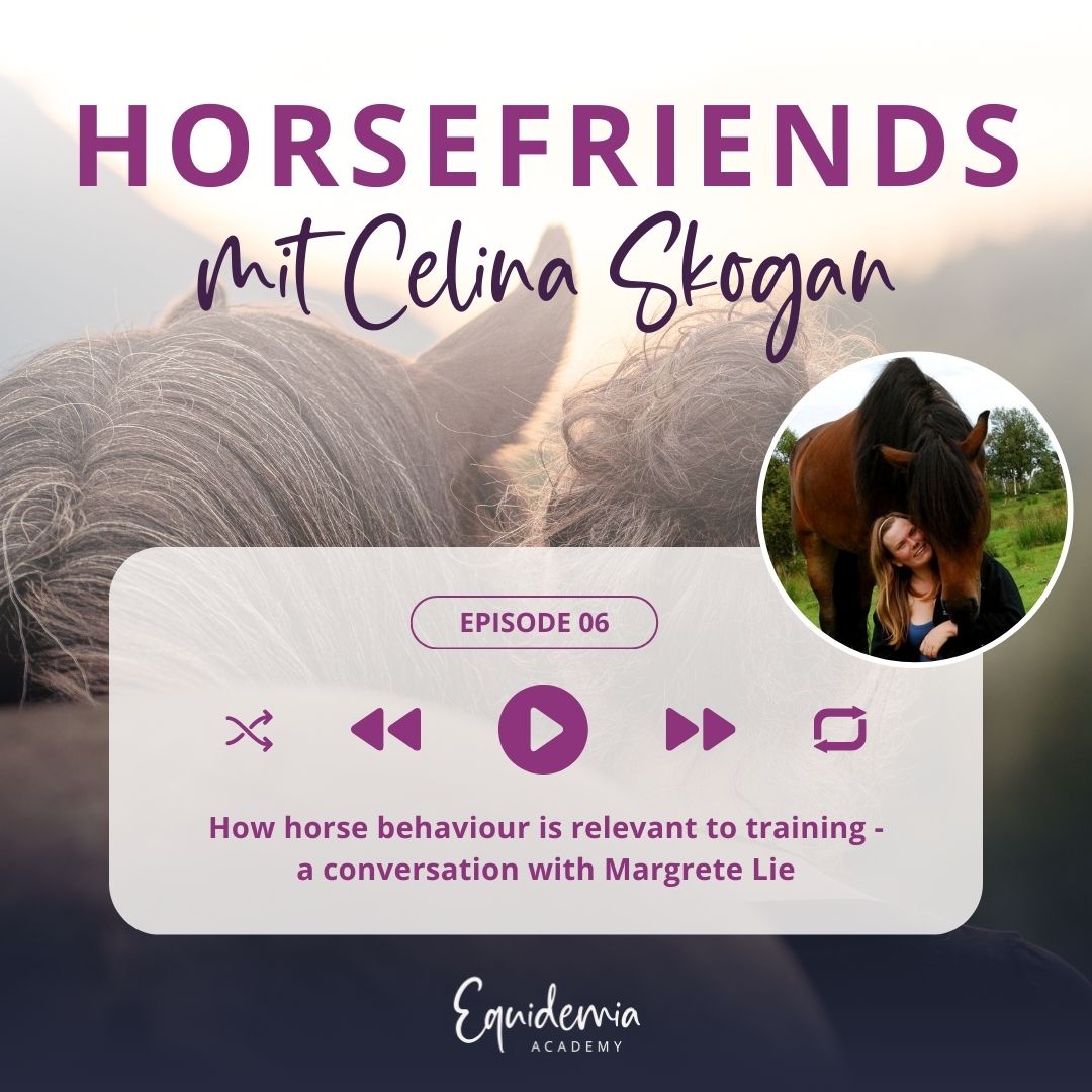 How horse behaviour is relevant to training - a conversation with Margrete Lie