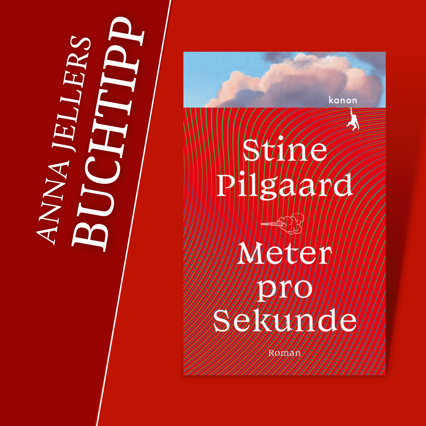 Anna Jellers Buchtipp | Stine Pilgaard: Meter pro Sekunde