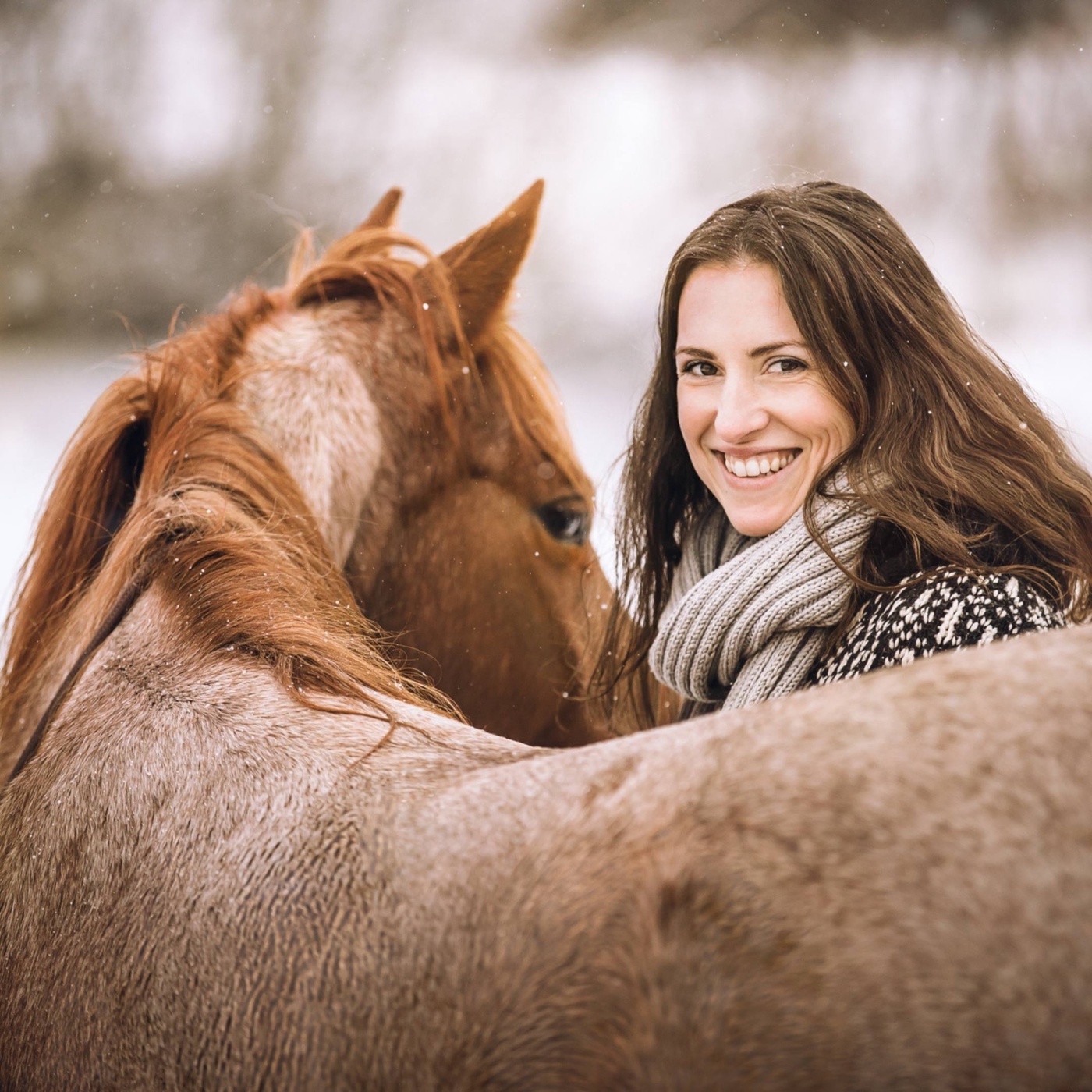 Warum du für dein Pferd eine Schildkröte brauchst