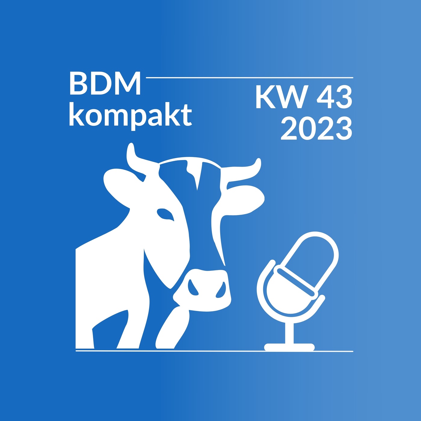 BDM kompakt KW 43/2023