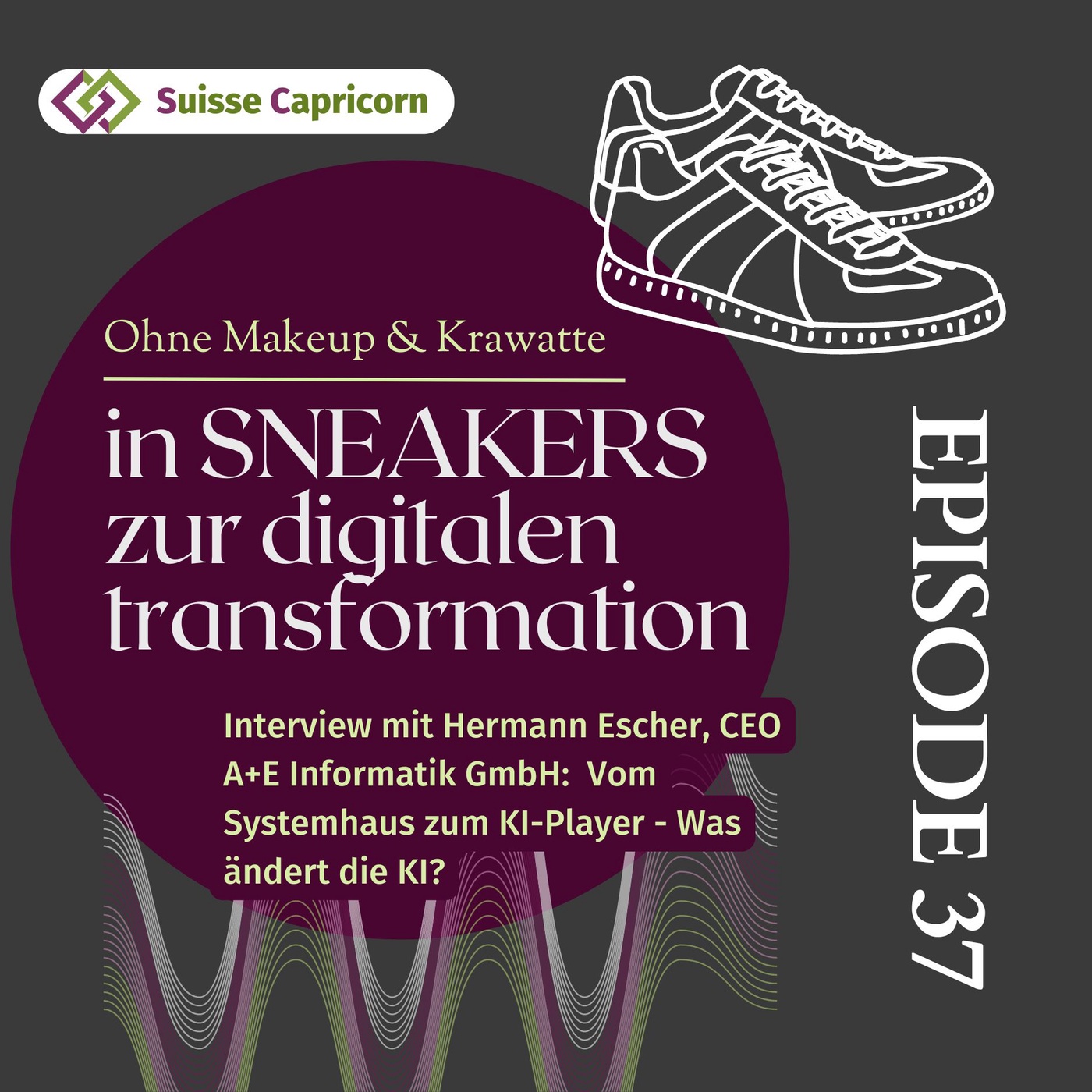 37 - Interview mit Hermann Escher, CEO A+E Informatik GmbH