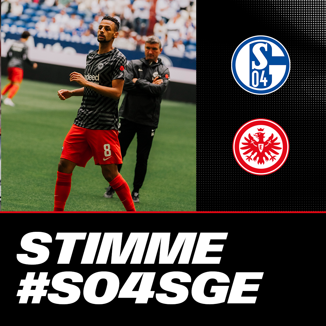 „Hausaufgaben machen und hoffen“ I Stimmen nach Schalke