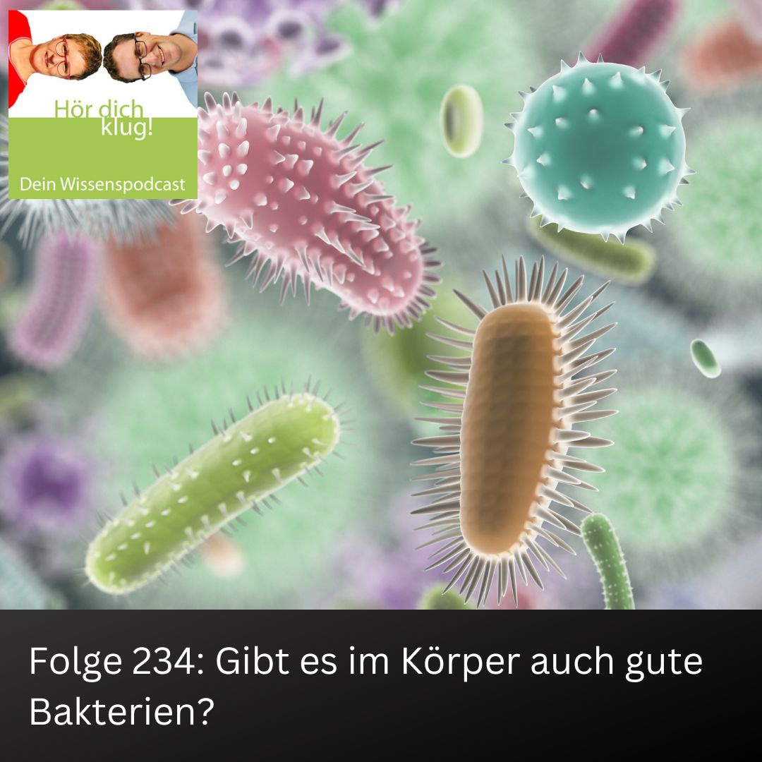 Gibt es im Körper auch gute Bakterien?