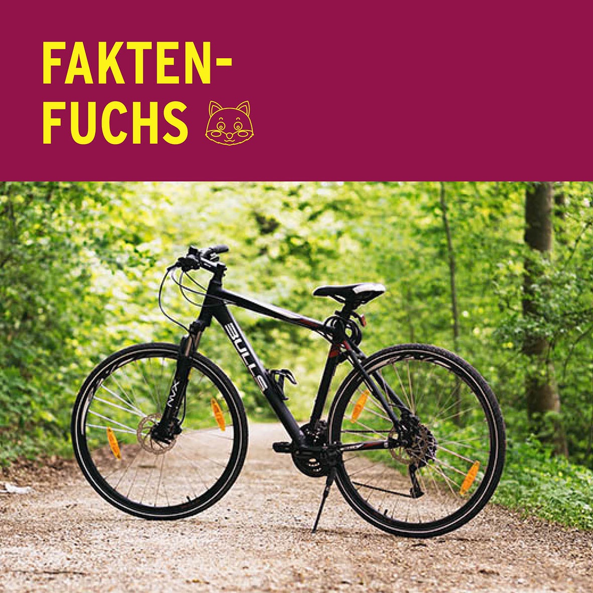 Faktenfuchs: Fahrrad