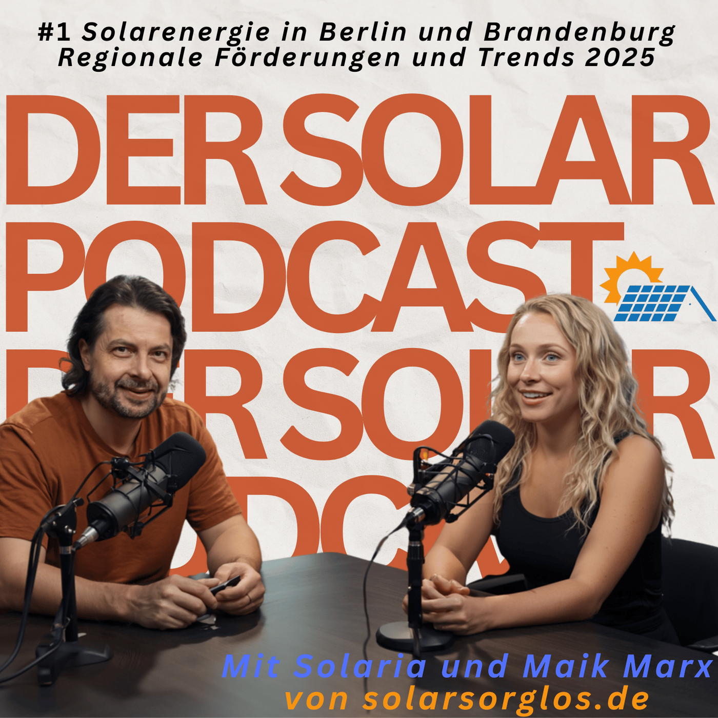 #1 Solarenergie in Berlin und Brandenburg Regionale Förderungen und Trends 2025