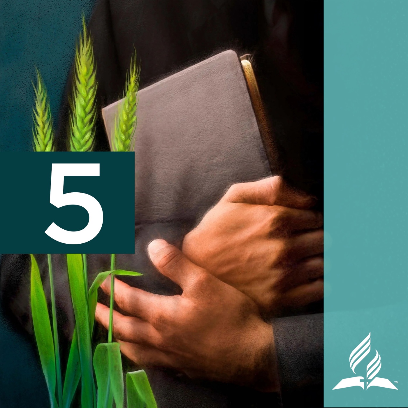 Q2 - E5. „Wie man die Bibel studiert“ -  Im Glauben Wachsen