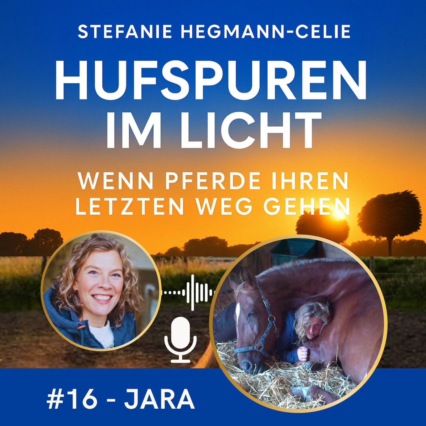 #16 - Jara: Von unnahbar bis hin zum verlässlichen Seelenpferd