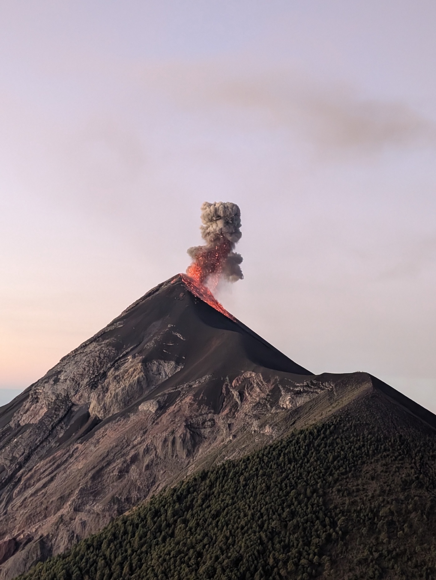 #23 Gelbwurst Skandal!