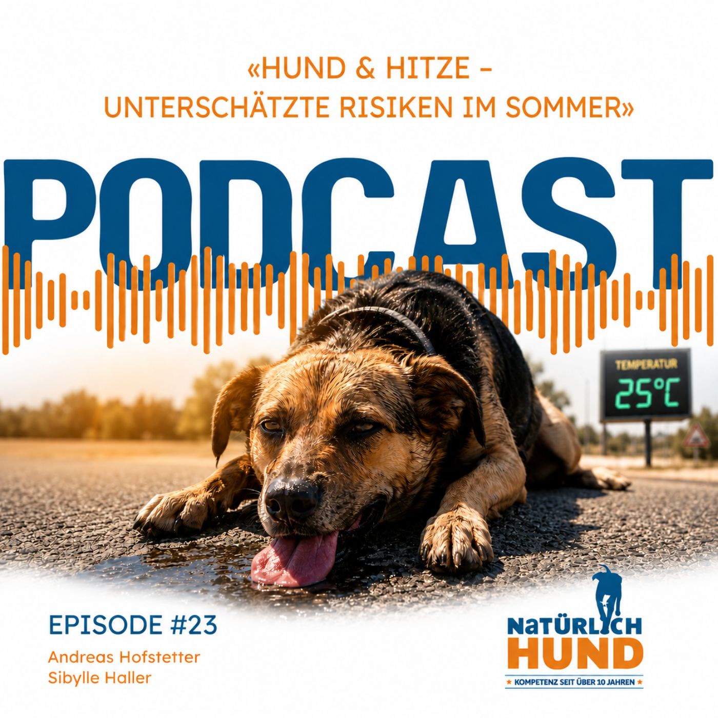 Hund & Hitze – unterschätzte Risiken im Sommer #23