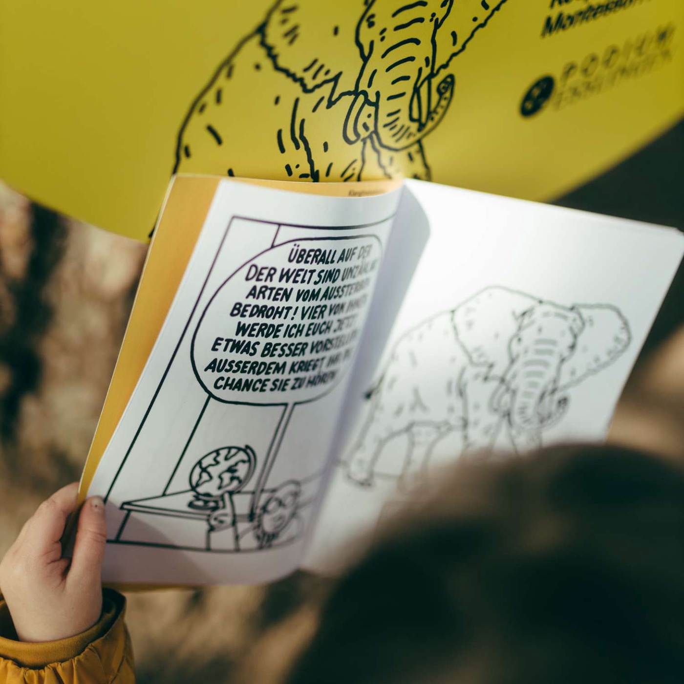 Rike Huy: DER ELEFANT