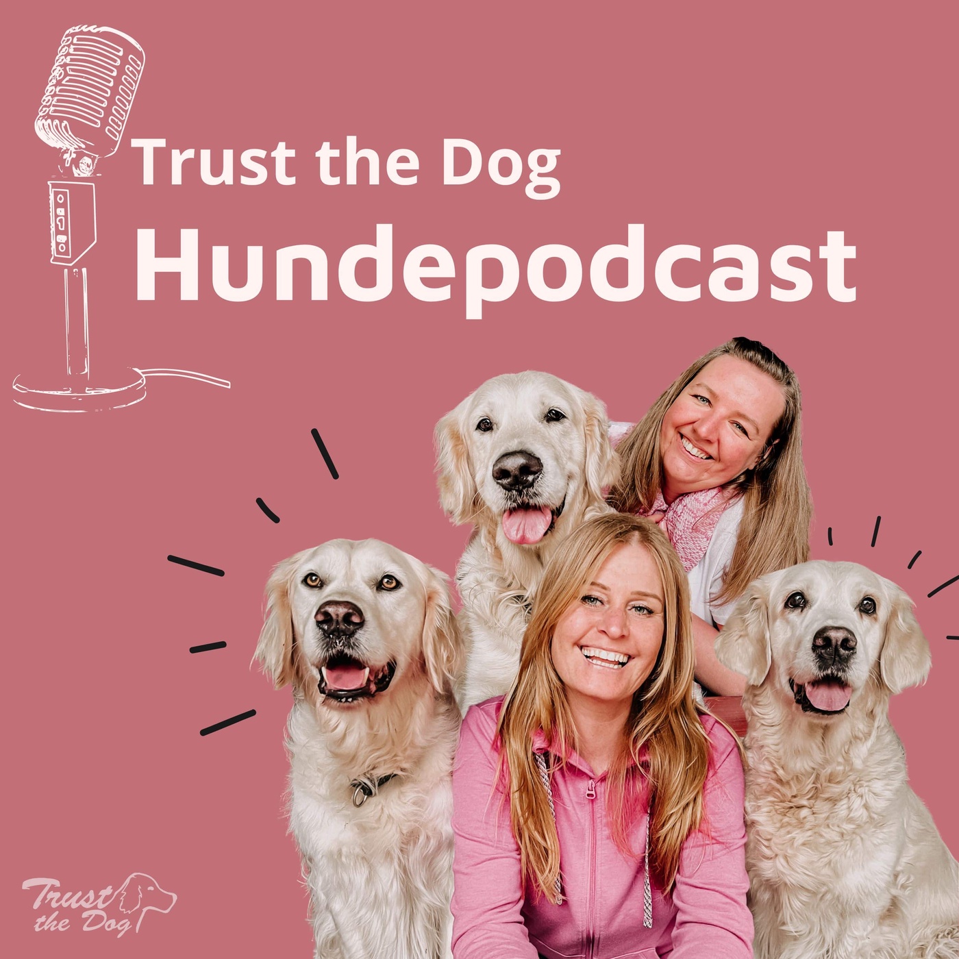 # 41 Hund in der Dunkelheit