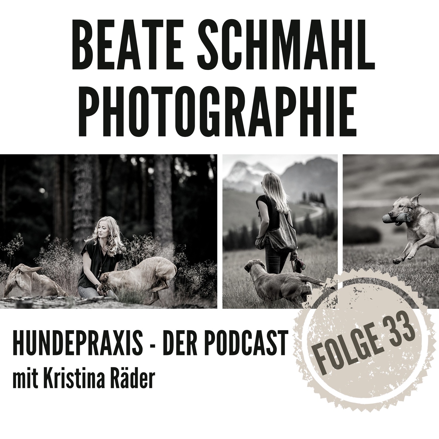 Von der Idee zum (Hunde-) Foto - Beate Schmahl