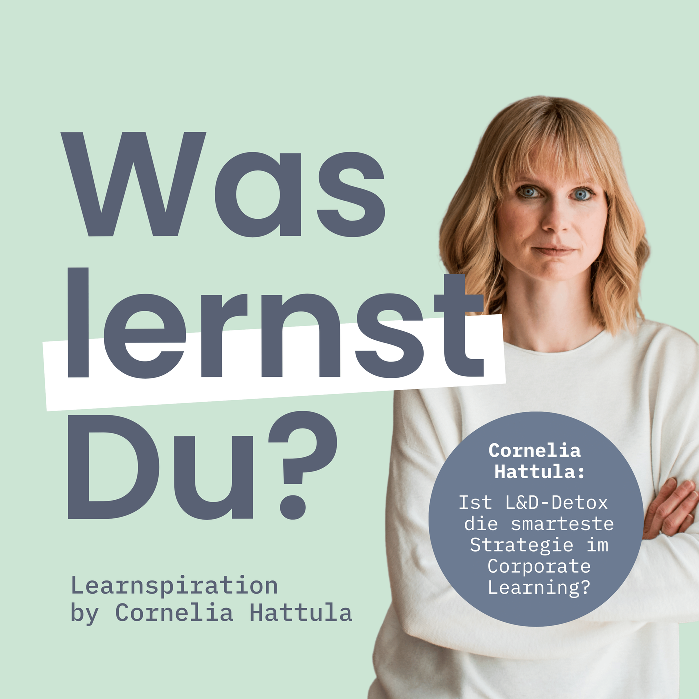 #158 - Ist L&D Detox gerade unsere smarteste Strategie im Corporate Learning?