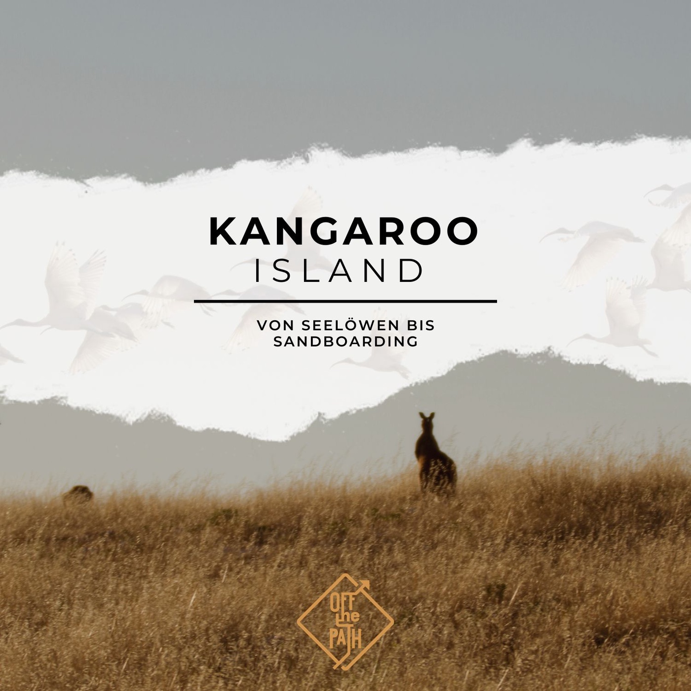 Von Seelöwen bis Sandboarding: Kangaroo Islands faszinierende Vielfalt