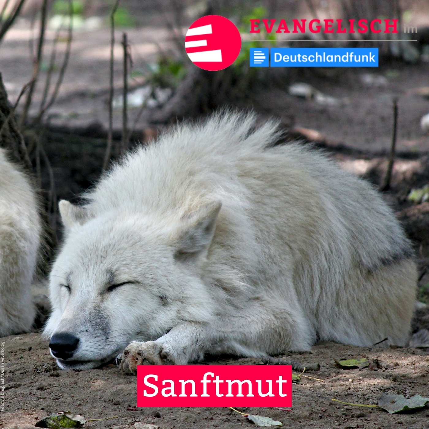 Sanftmut