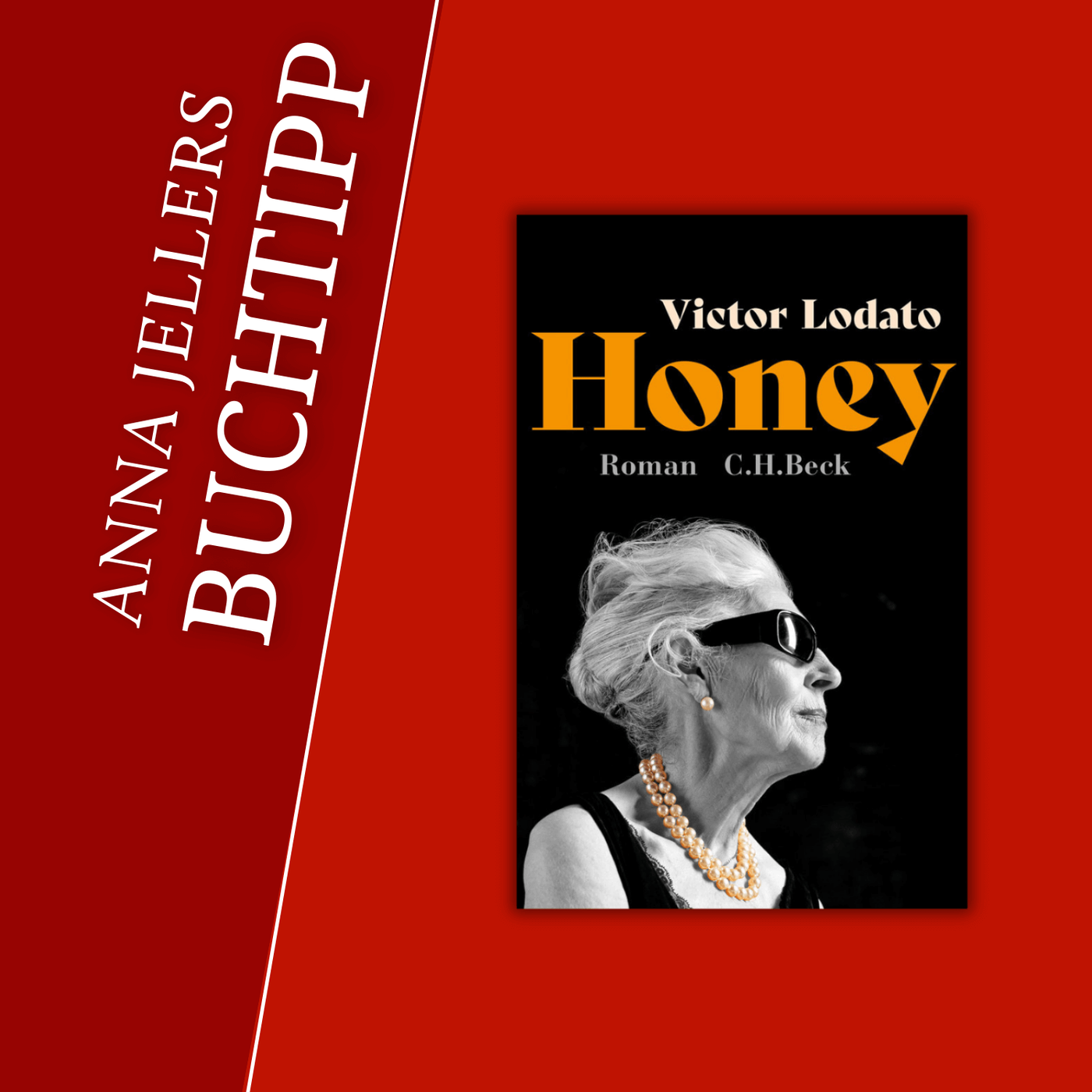 Anna Jellers Buchtipp | Victor Lodato: Honey