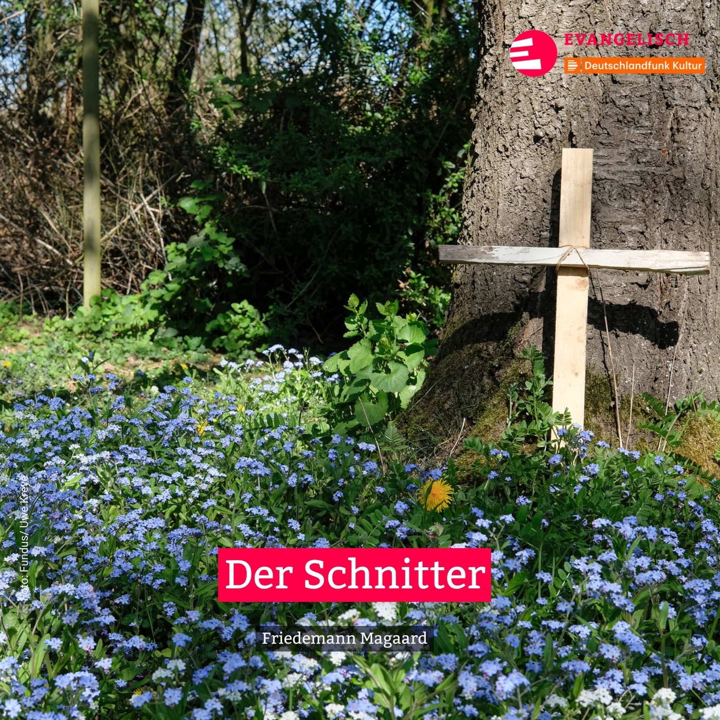 Der Schnitter