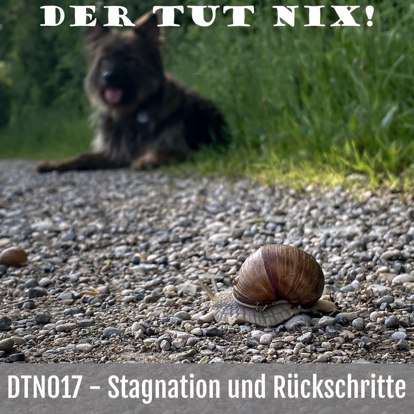 DTN017 - Stagnation und Rückschritte