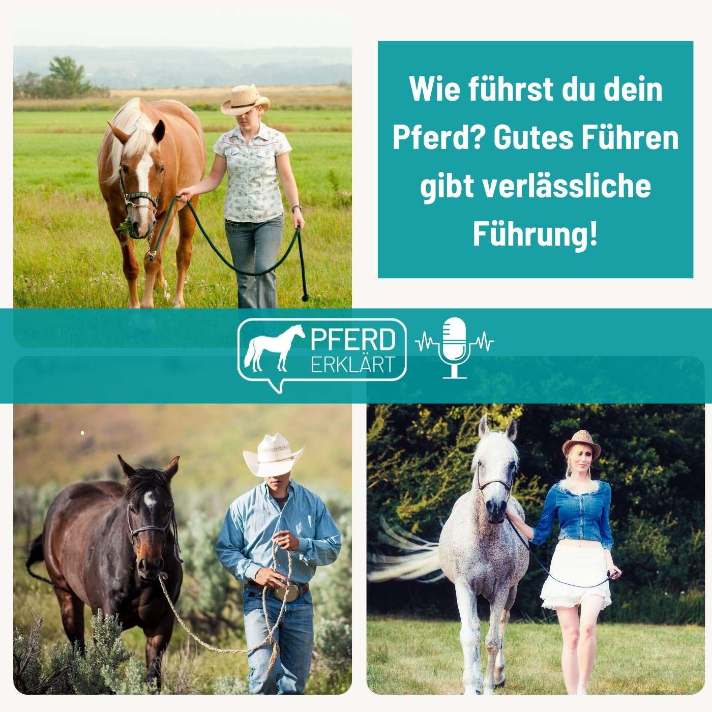 Wie führst du dein Pferd? Gutes Führen gibt verlässliche Führung!