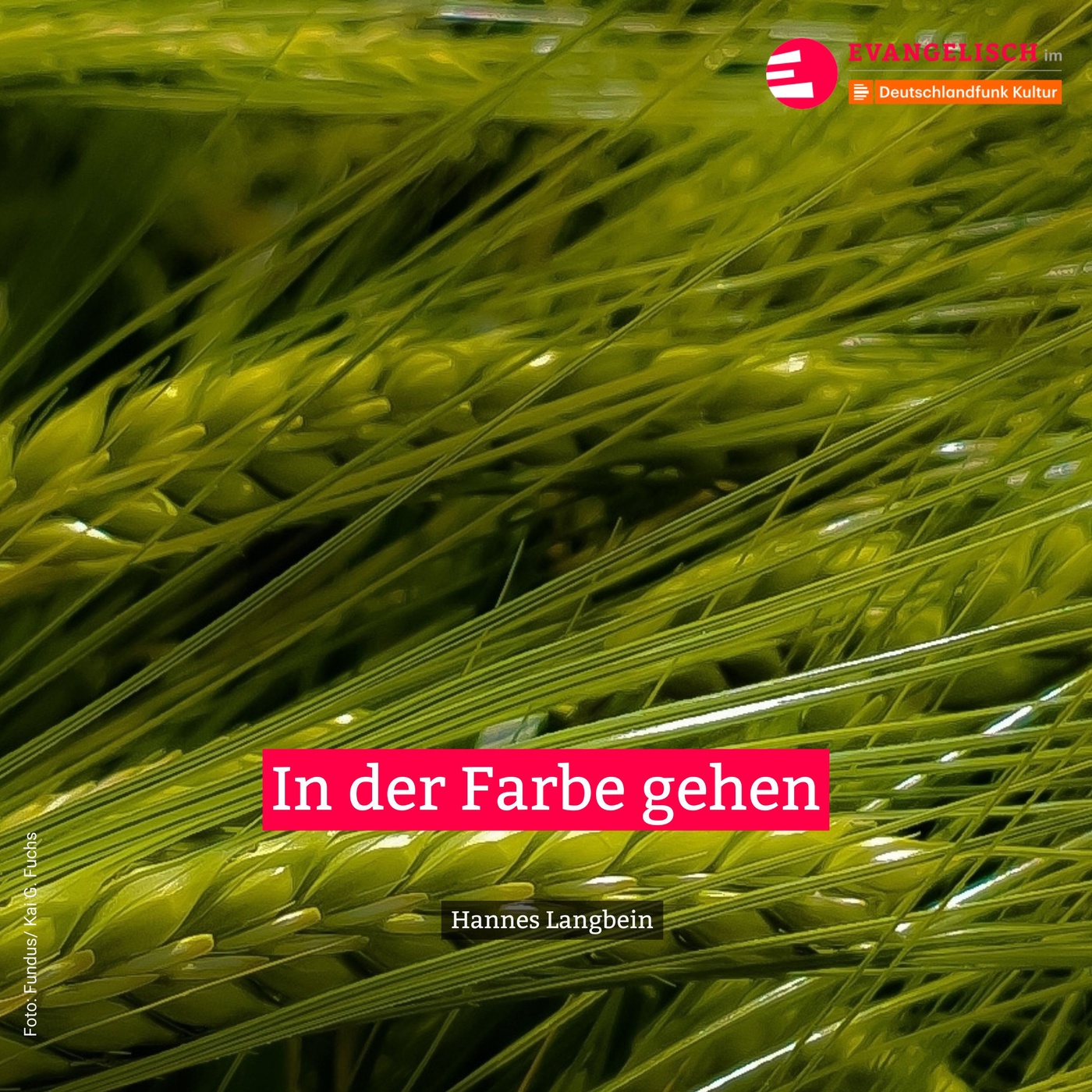 In der Farbe gehen