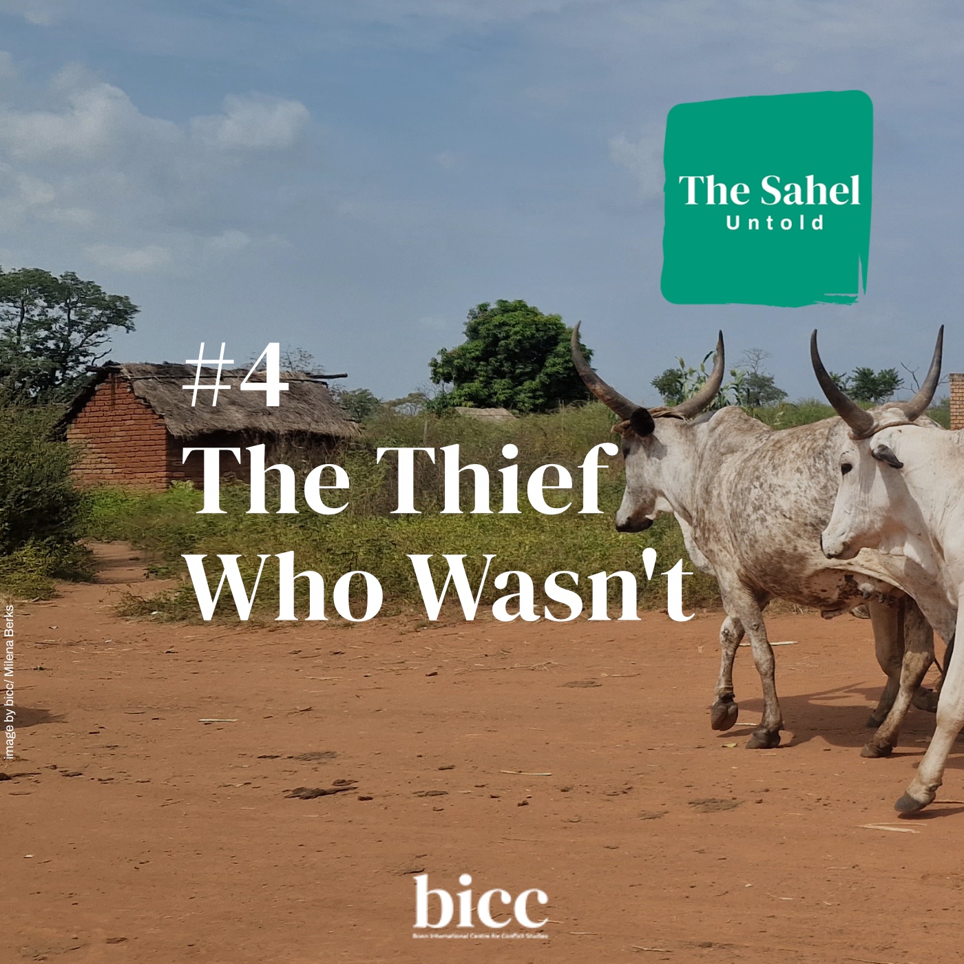 The Thief Who Wasn't