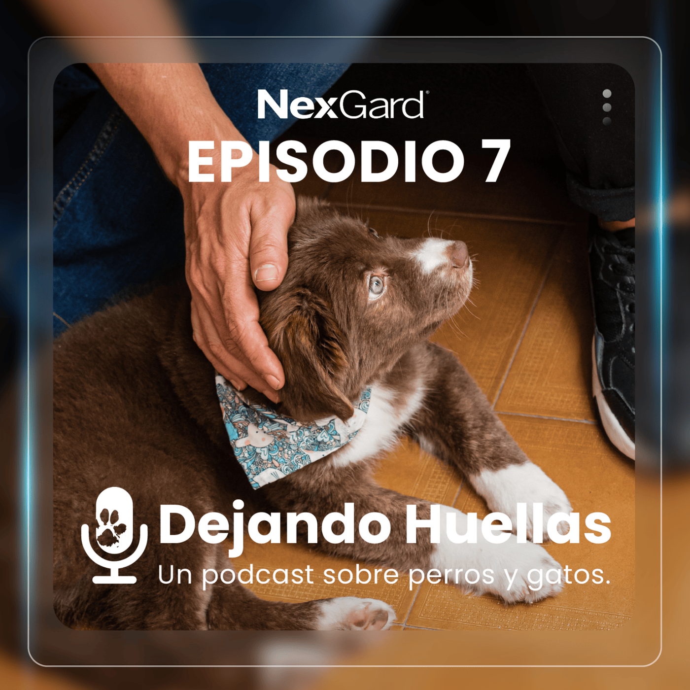 Una sola salud : Prevención de zoonosis y la importancia de la ciencia