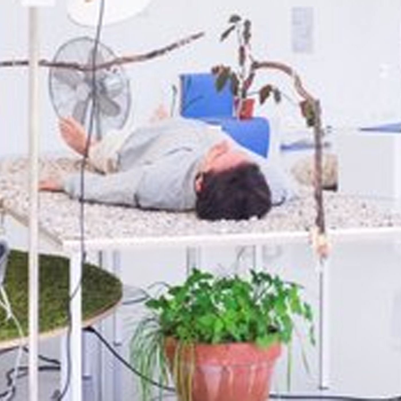 Zukunftskulturjournal: PPS - The Para(rt)sitic Protection Society Nairs