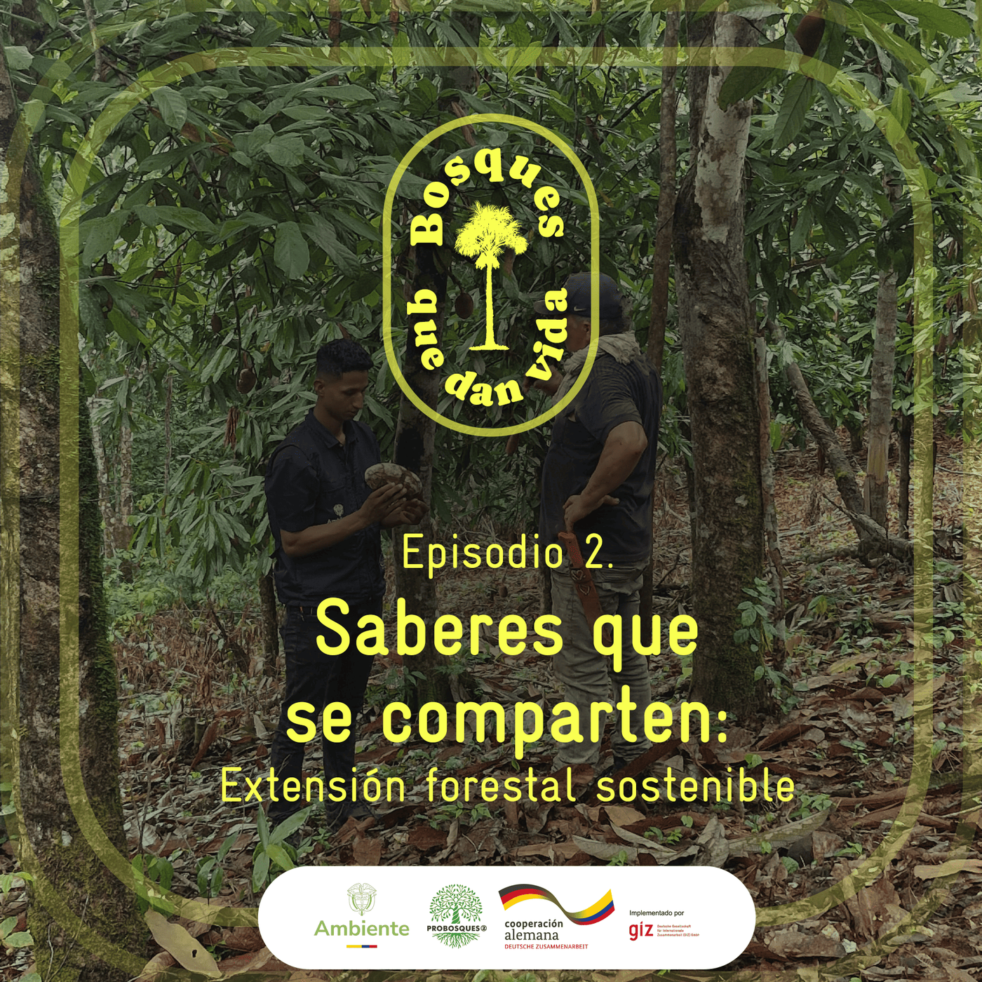 SABERES QUE SE COMPARTEN