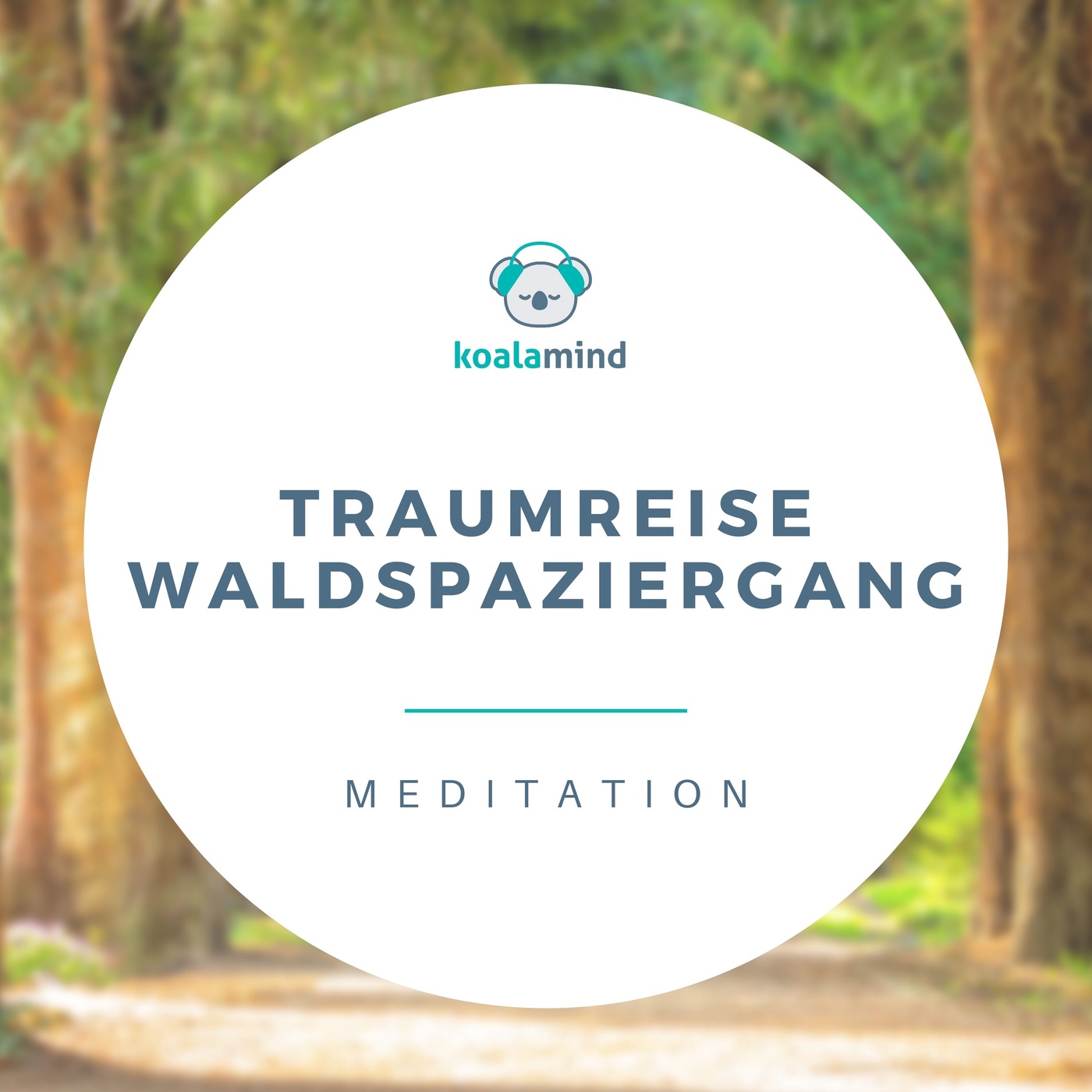 Meditation: Traumreise Waldspaziergang