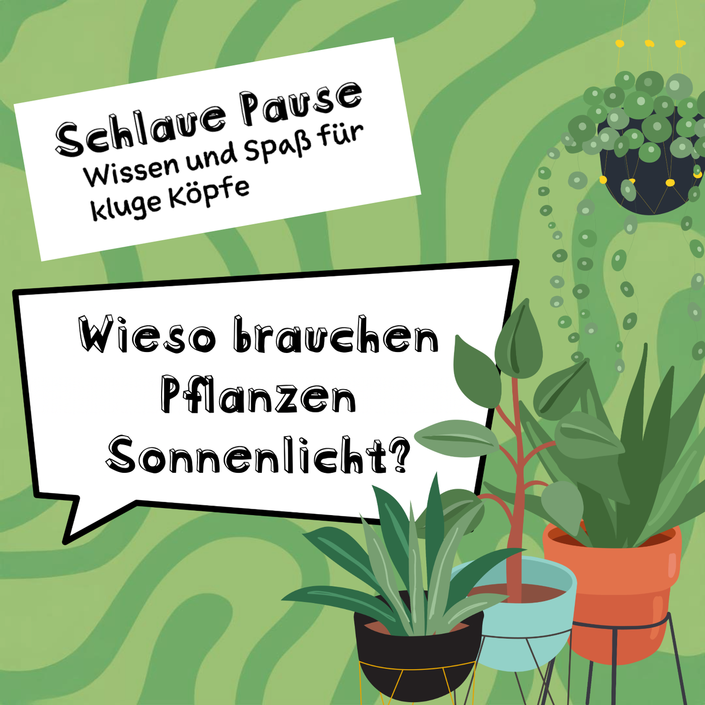 #27 Warum brauchen Pflanzen Sonnenlicht?