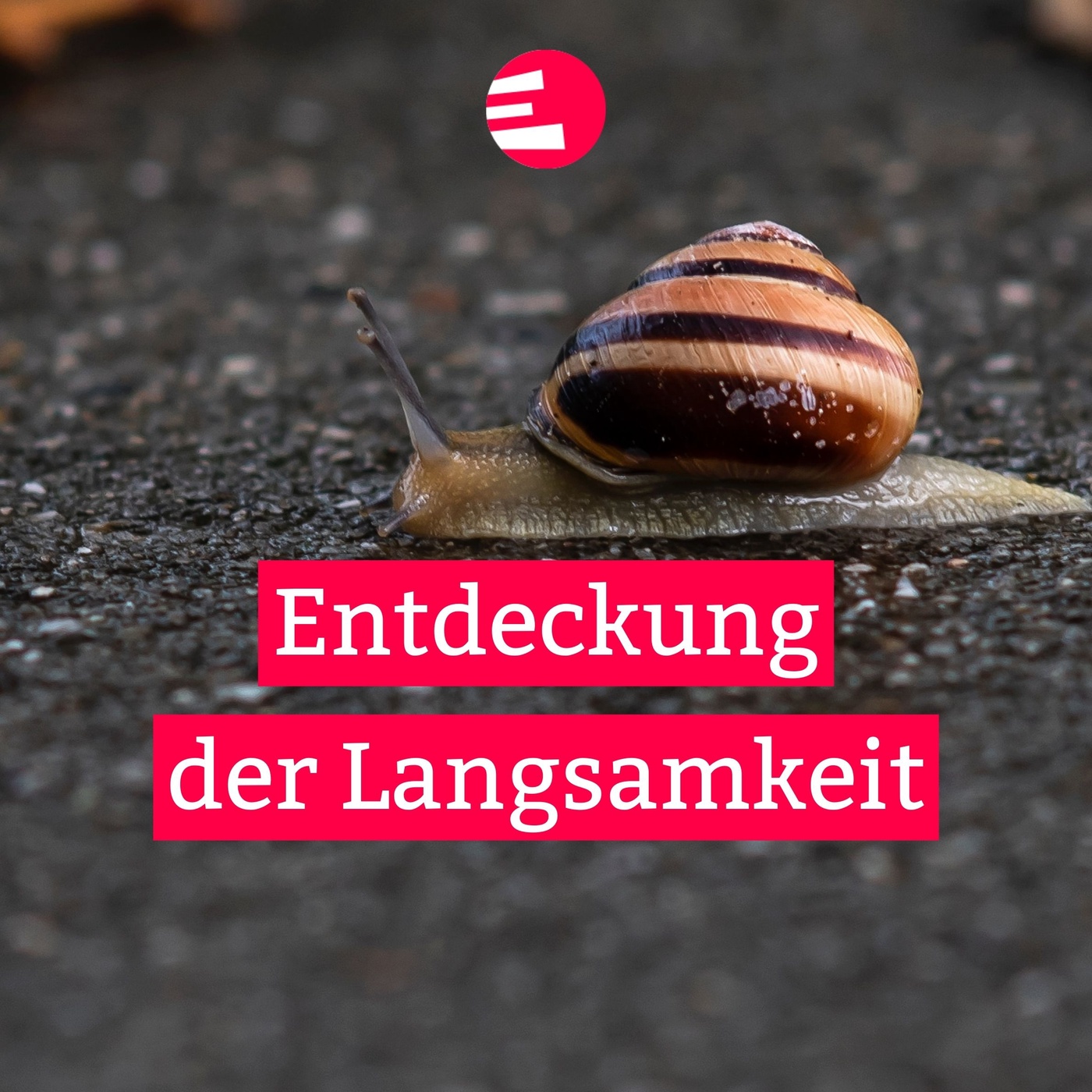 Entdeckung der Langsamkeit