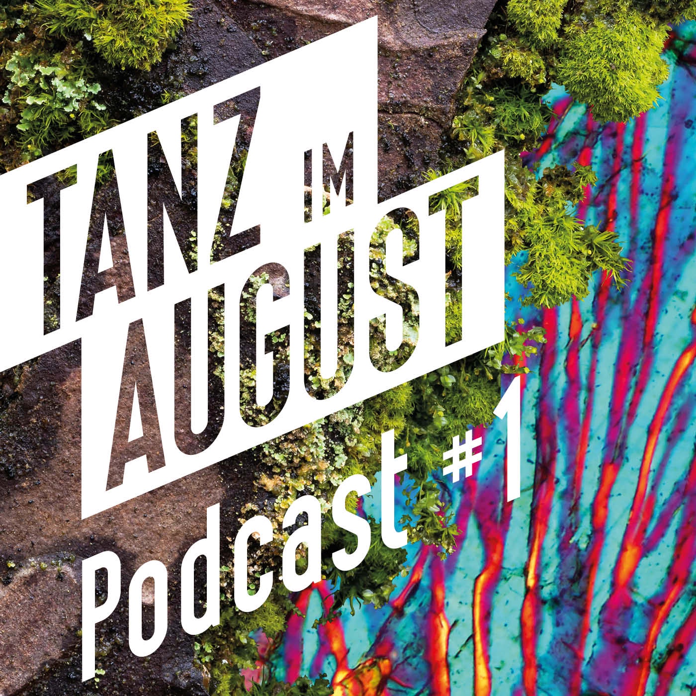 Tanz im August Podcast #1 – Interconnecting Dance & Ecology