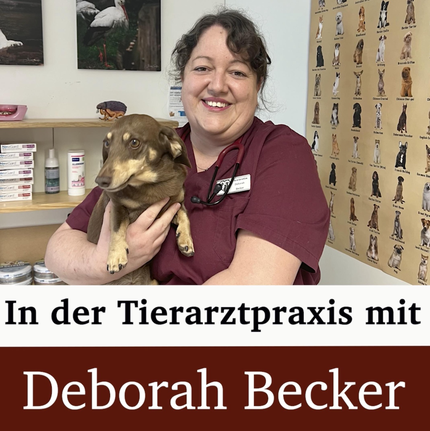 In der Tierarztpraxis mit Deborah Becker