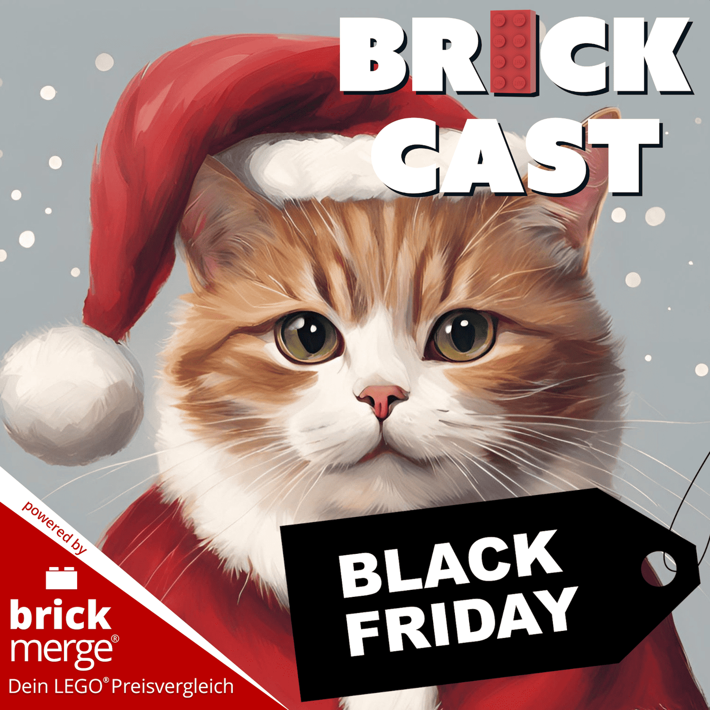 Eine Katze, Black Friday & Blacktron