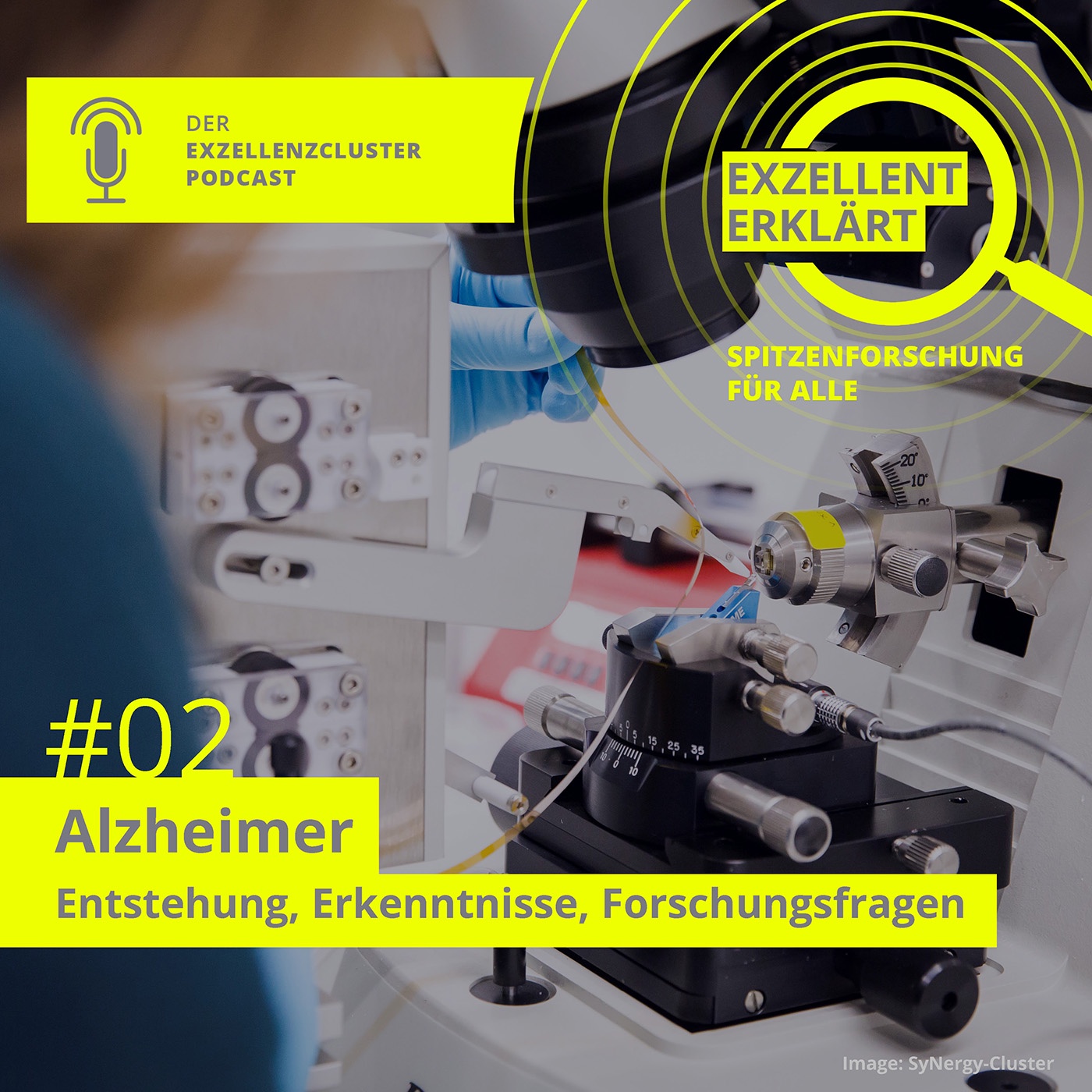 Alzheimer – Entstehung, Erkenntnisse, Forschungsfragen