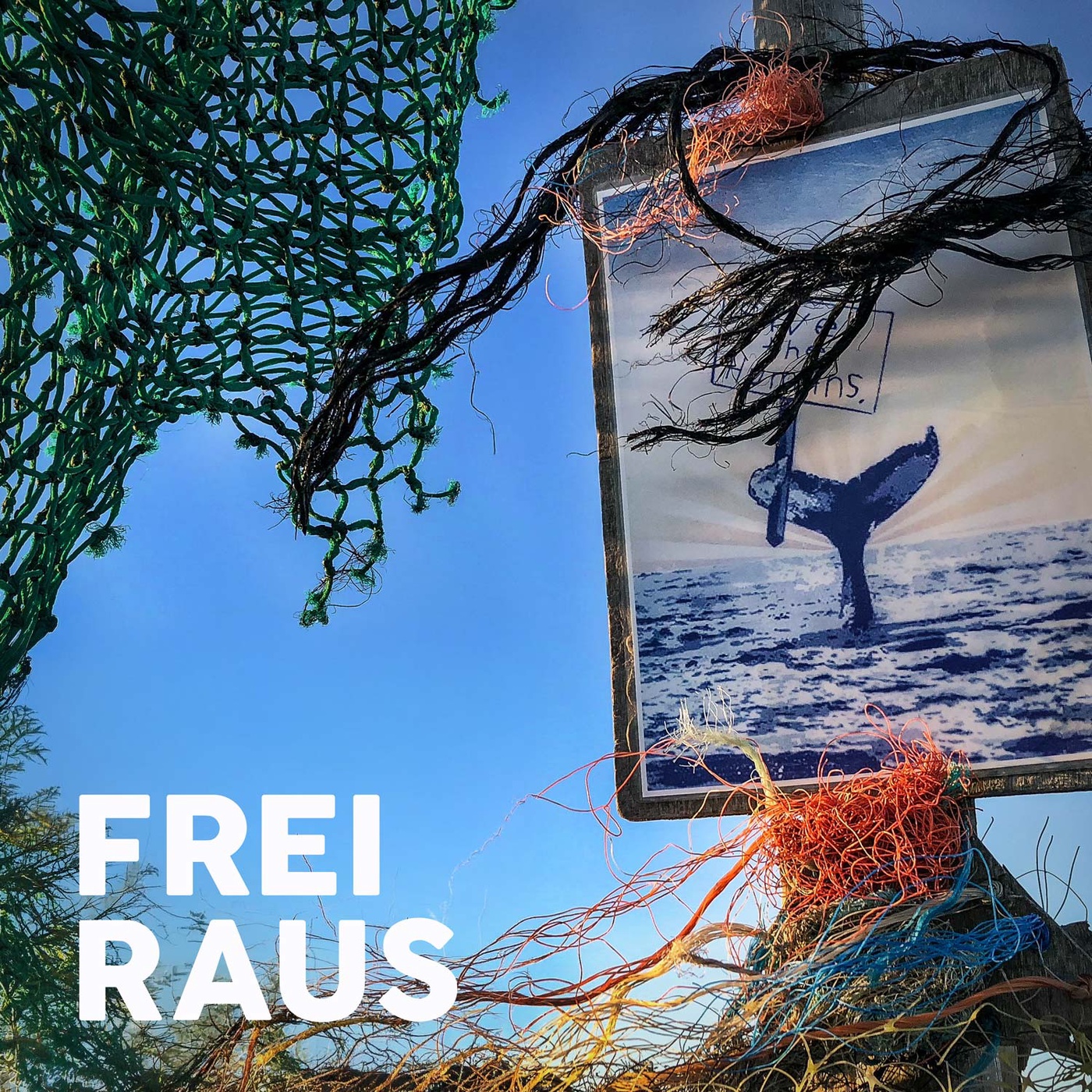 Timmy – oder was das Schicksal eines Buckelwals uns über das Navigieren lehrt 