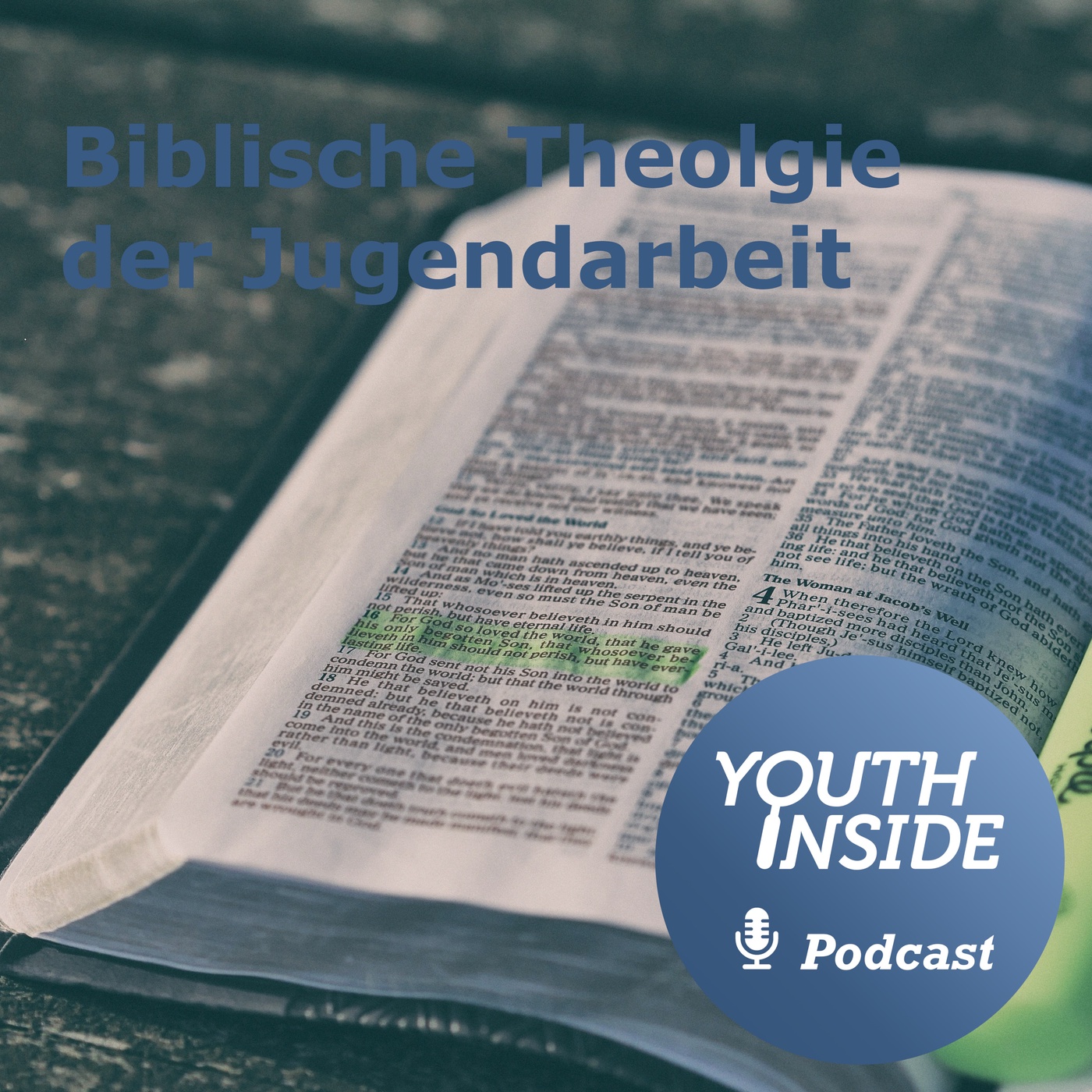 Biblische Theologie der Jugendarbeit 