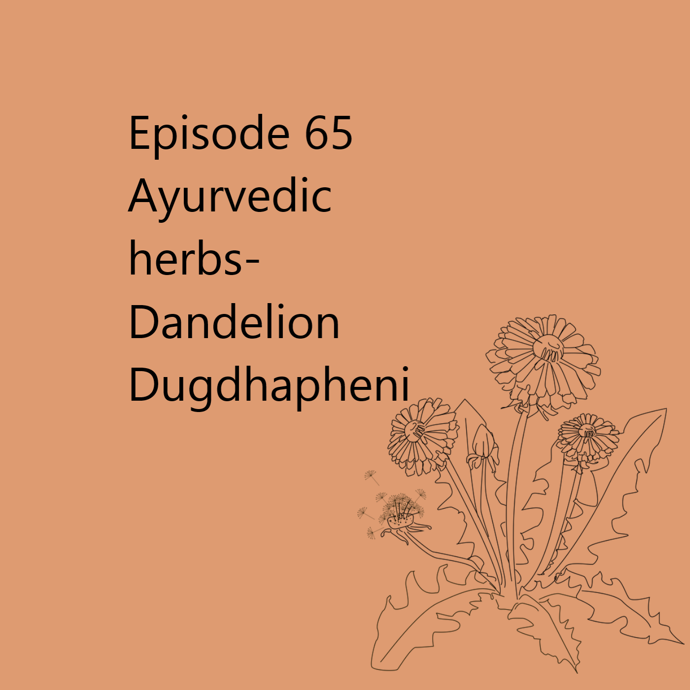 Episode 65 Dandelion