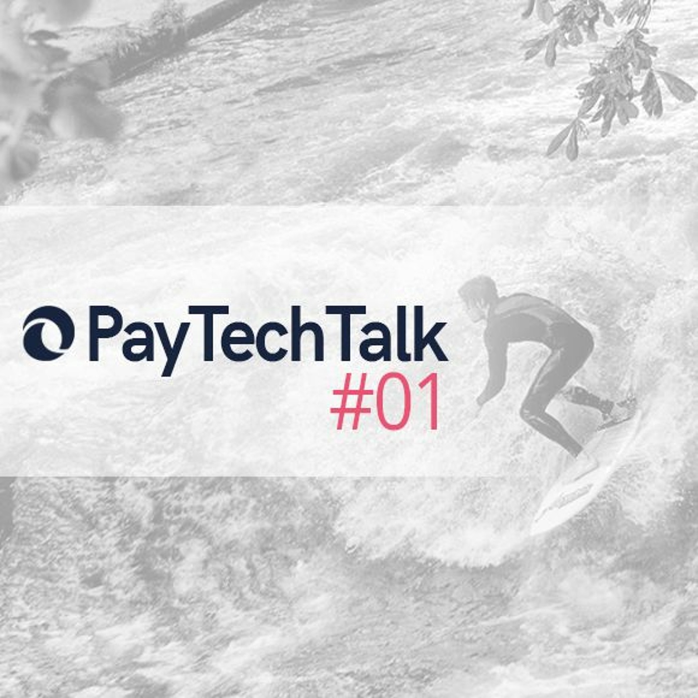 PayTechTalk #1 With David M. Brear 11fs