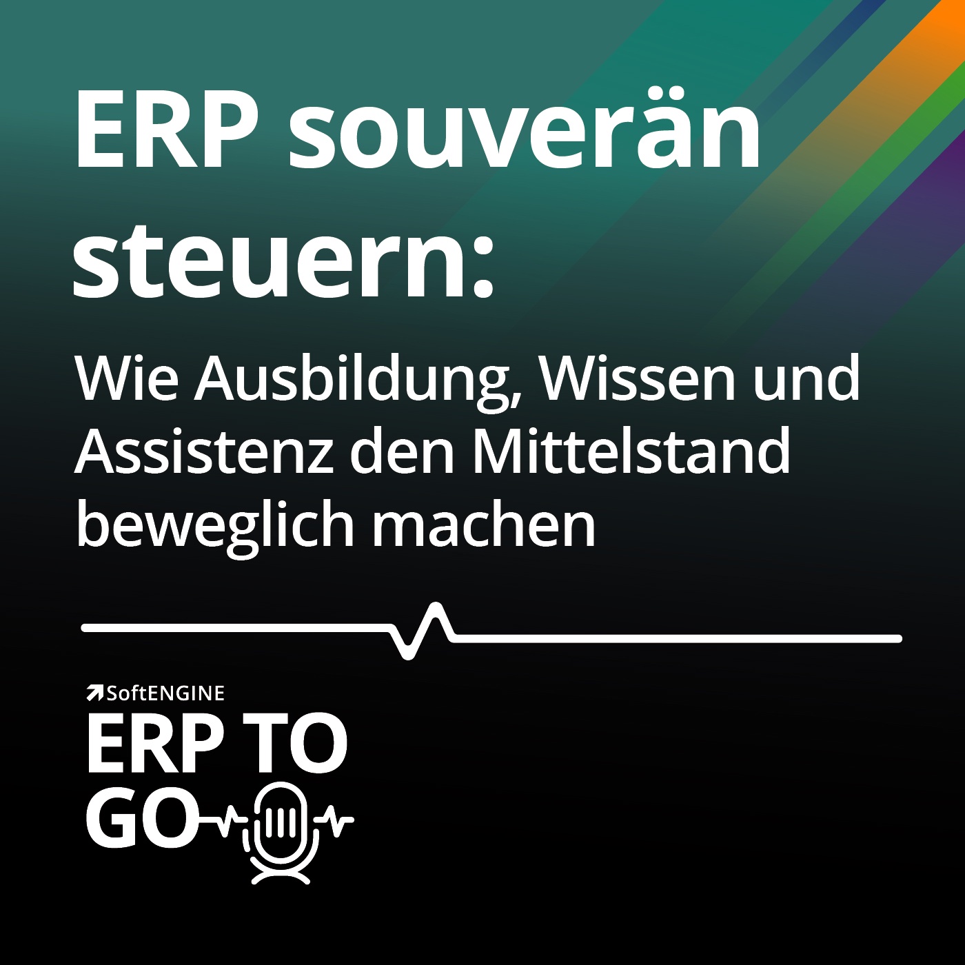 ERP souverän steuern: 