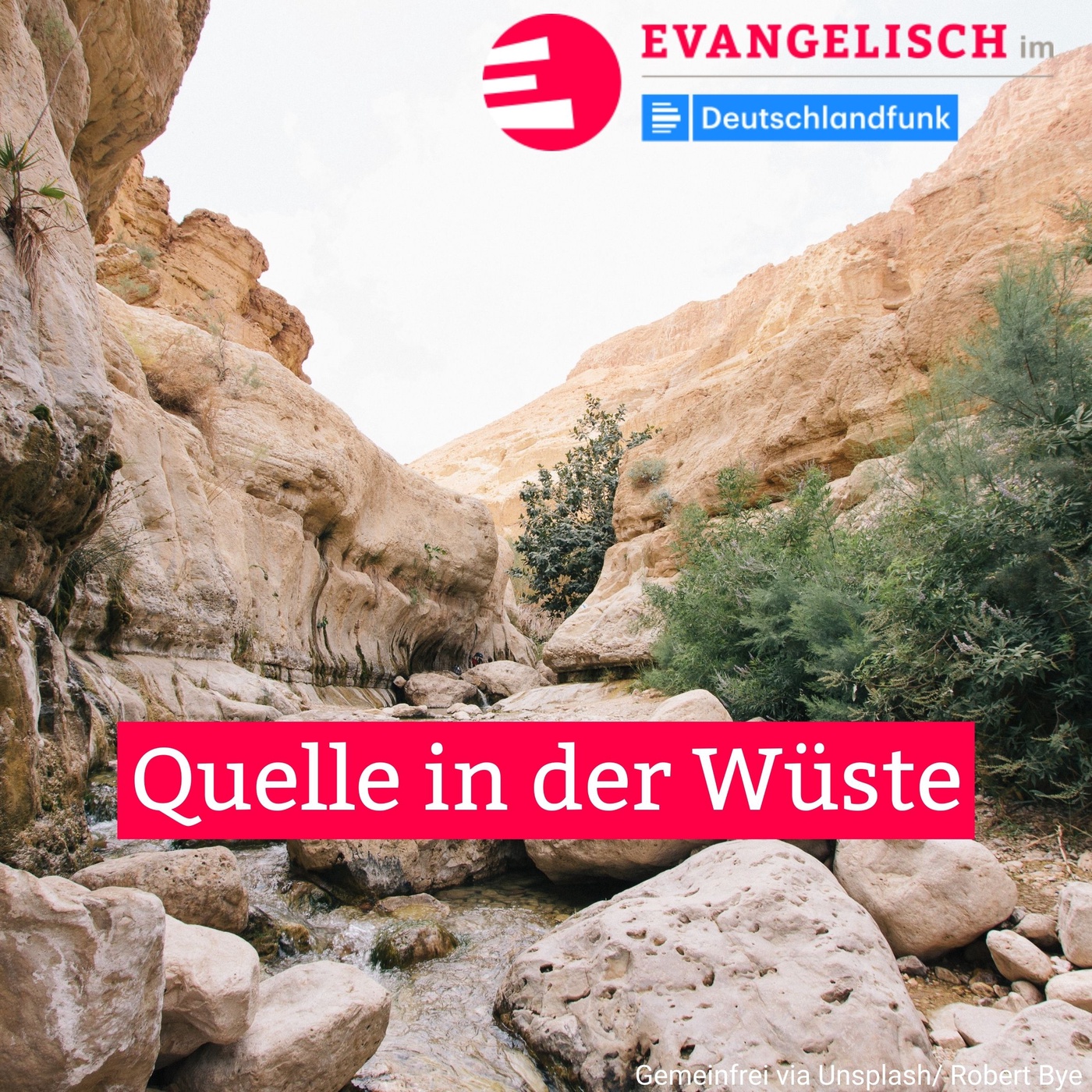 Quelle in der Wüste
