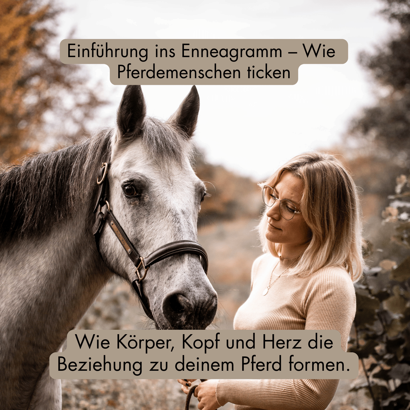 #13 Einführung ins Enneagramm: Wie Pferdemenschen ticken 