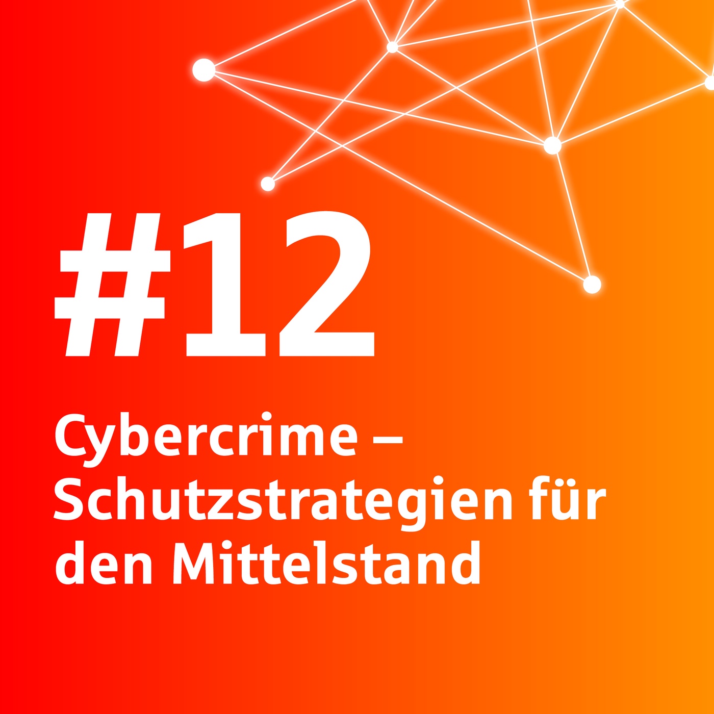 #12 Cybercrime – Schutzstrategien für den Mittelstand