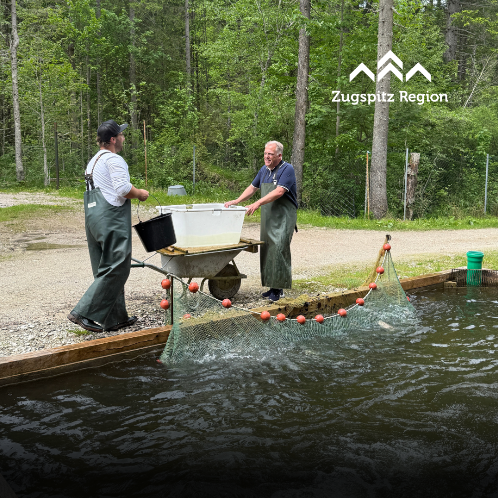 Fischzucht Platzfisch im Elmauer Tal