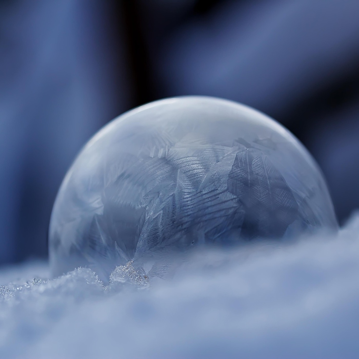 Die Liebe und das Leben Teil_e