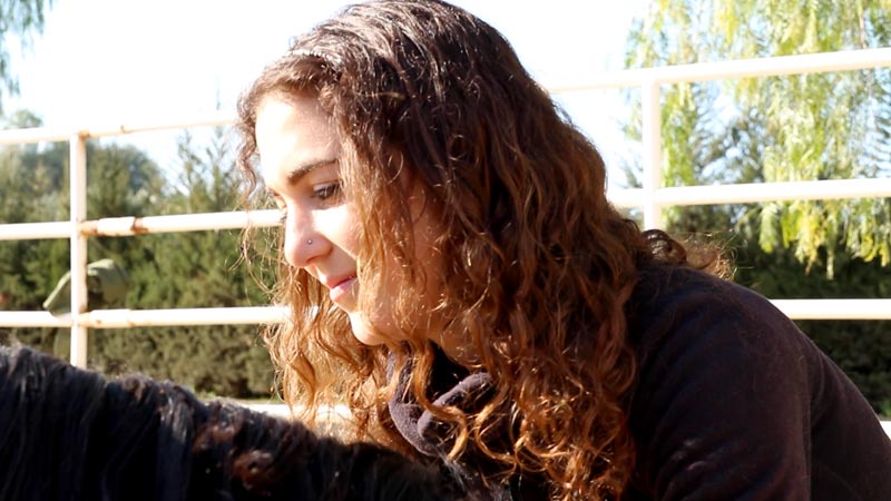 Sind alle Pferde Gurus toll?