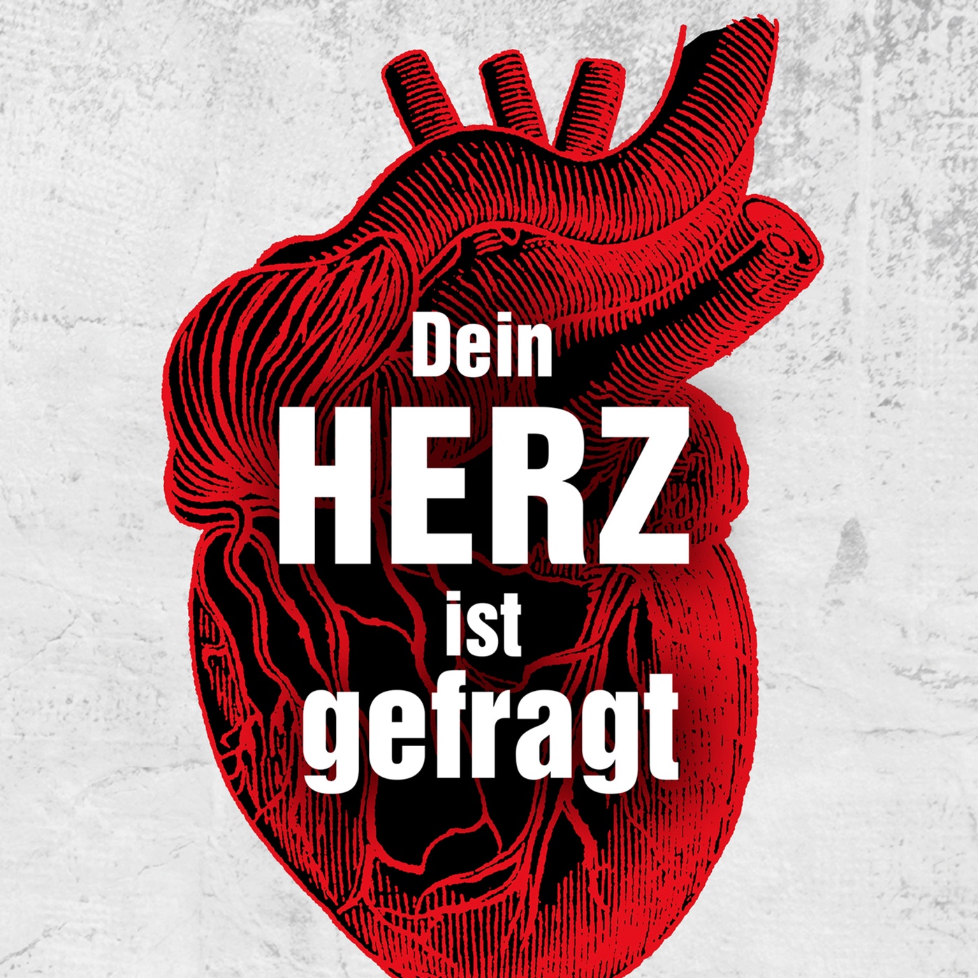 Dein Herz ist gefragt - Bischof Hermann Glettler über Herzspiritualität