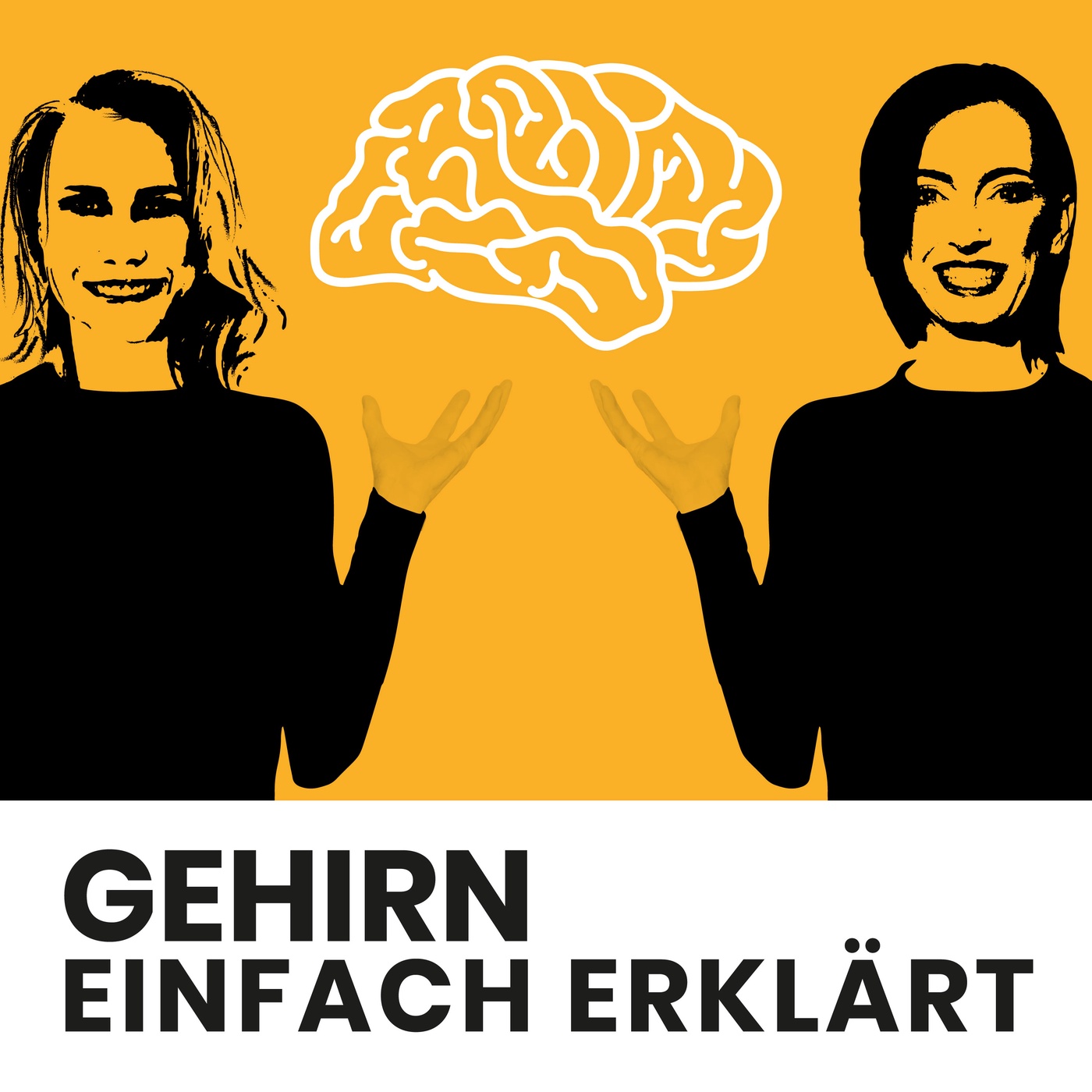 #33: Das politische Gehirn - Wahlentscheidungen, Meinungsbildung und Emotionen im Wahlkampf